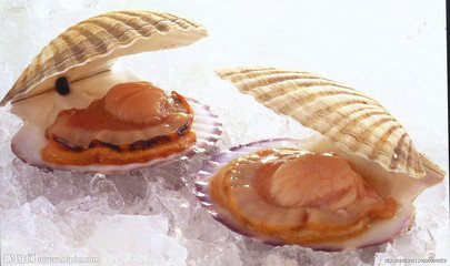 教师节给老师做的菜品,教师节怎么给老师做好吃的