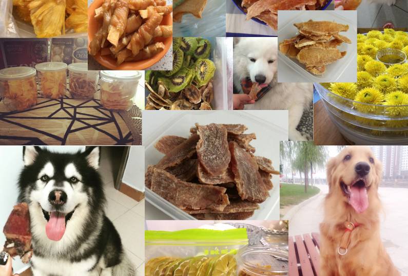 控制不住自己吃零食，懒得运动又不想长胖怎么办？