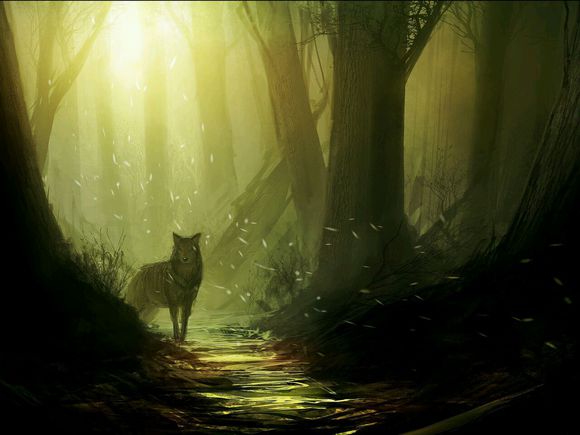 玄学梦境解答,梦境解析技巧分享