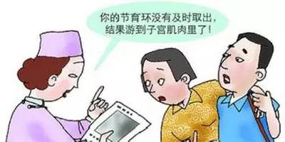 安了环还怀孕！怨我喽？