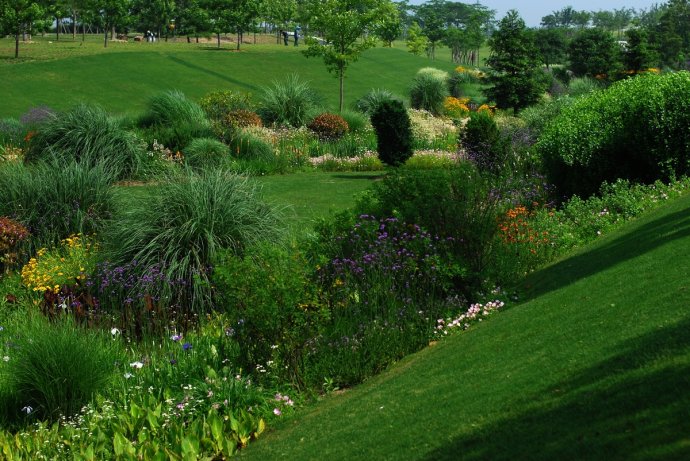辰山植物园旱溪花境,上海辰山植物园珍稀植物