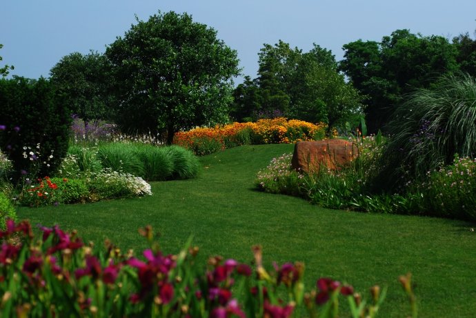 辰山植物园旱溪花境,上海辰山植物园珍稀植物