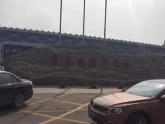 他国代购的包包是真的吗,代购包包的内幕有多深