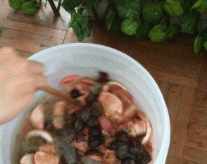 健康养生鲜酿酵素,一杯鲜酿酵素的快乐