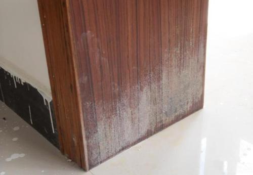 门套里面发霉怎么处理,家里门框发霉了怎么处理