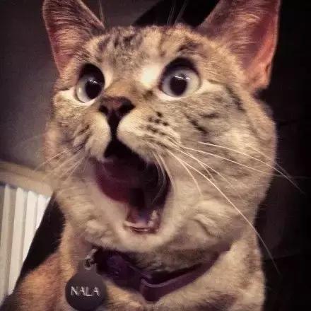 不涂隔离会长痘吗,不涂隔离的危害