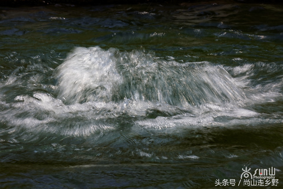 这眼泉好神奇！用泉水洗眼，少年不近视，老者不花眼！