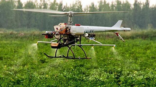 让农民赚钱的项目,农民致富的4个真实案例