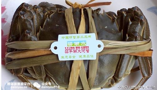 中秋适合吃什么螃蟹,中秋吃螃蟹最佳时间