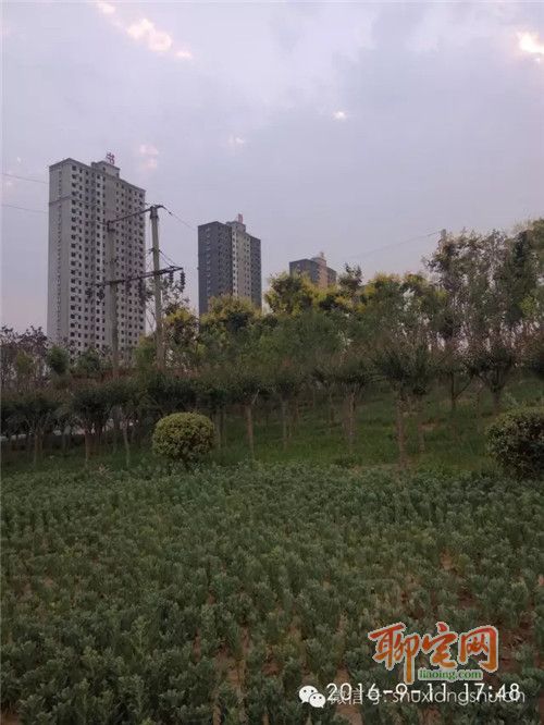 书香水岸质量怎么样,书香水岸好吗