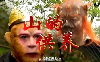 快本鞠婧祎骑马哪个是真的,快本鞠婧祎骑马视频