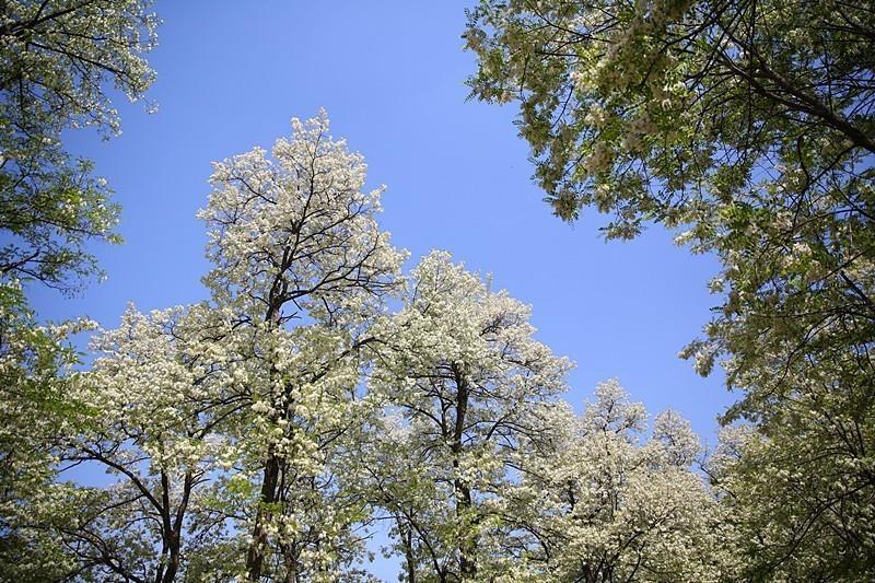 西安长安区关中环线游玩,西安旅游攻略长安区