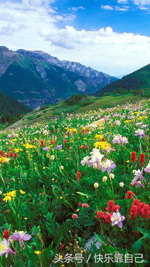 dv拍摄最佳设计方案,dv摄像机拍摄技巧