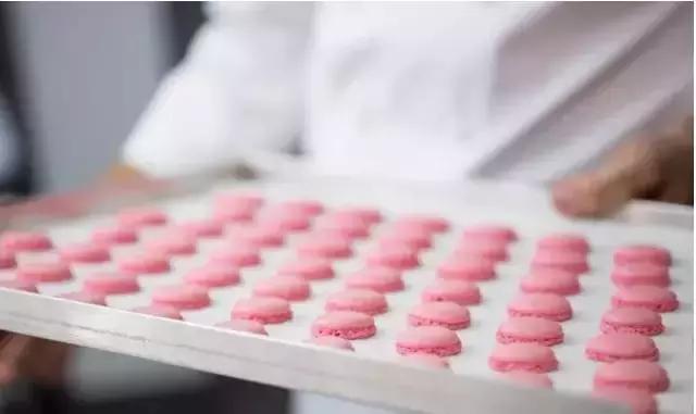 法国蓝带餐饮学院,法国蓝带厨艺学院巴黎校区