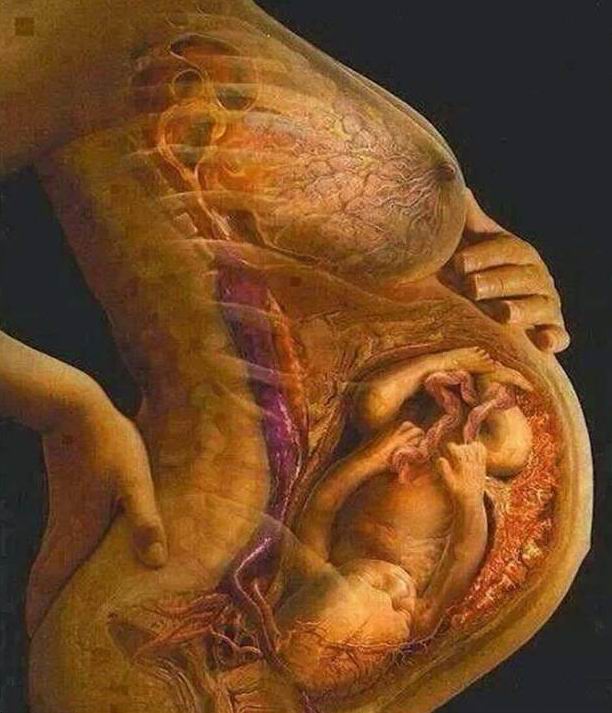 孕妇得了静脉曲张血栓,孕妇静脉血栓可以流产吗