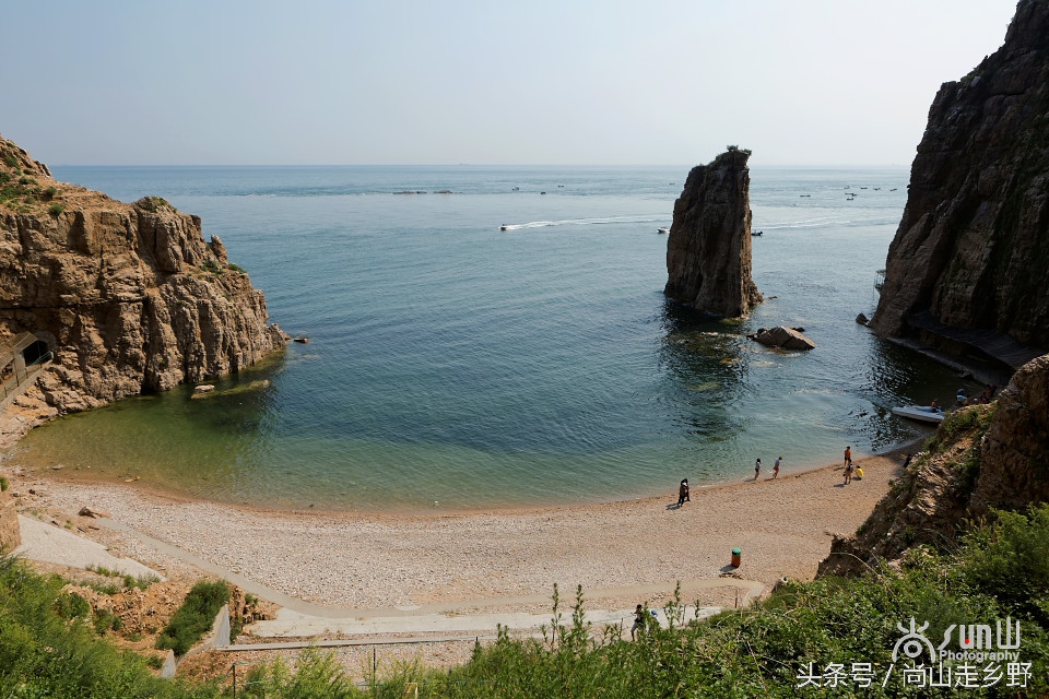 这座没有居民的小岛，是海鸥的王国，为何却叫海驴岛？