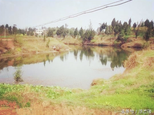 惹瘾上身，擒黑解毒