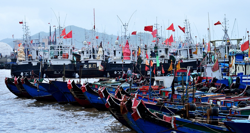 舟山独有的美食和特色,舟山本地人常去吃的海鲜