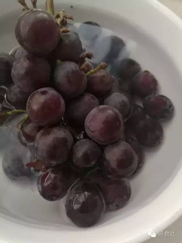 健康养生鲜酿酵素,一杯鲜酿酵素的快乐