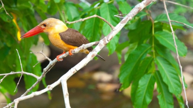 海岛兰卡威旅游,梦回兰卡威度假海岛