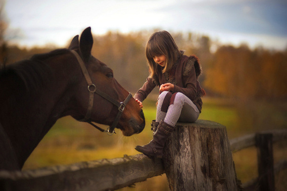 奥妙立白汰渍洗衣粉哪个好用,立白奥妙雕牌洗衣粉哪个好