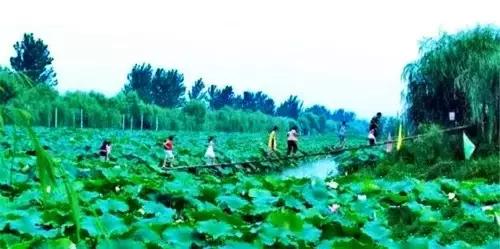 洛阳涧西区好玩的景点,洛阳郑州好玩的景点推荐