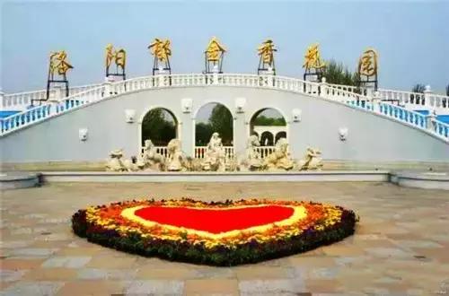 洛阳涧西区好玩的景点,洛阳郑州好玩的景点推荐