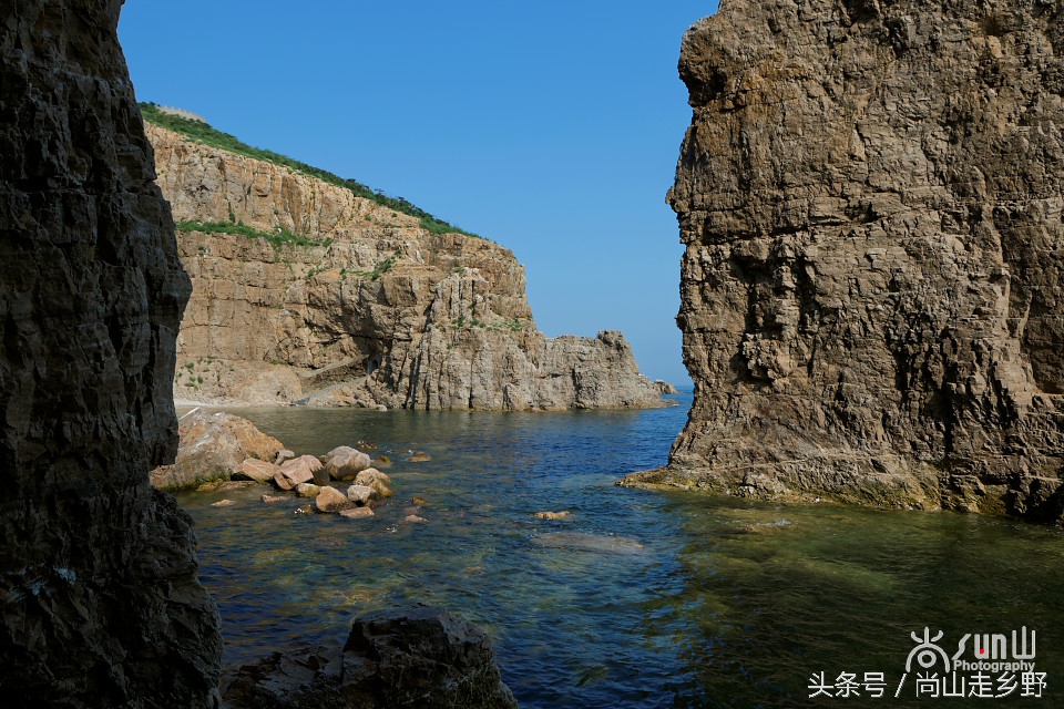 这座没有居民的小岛，是海鸥的王国，为何却叫海驴岛？