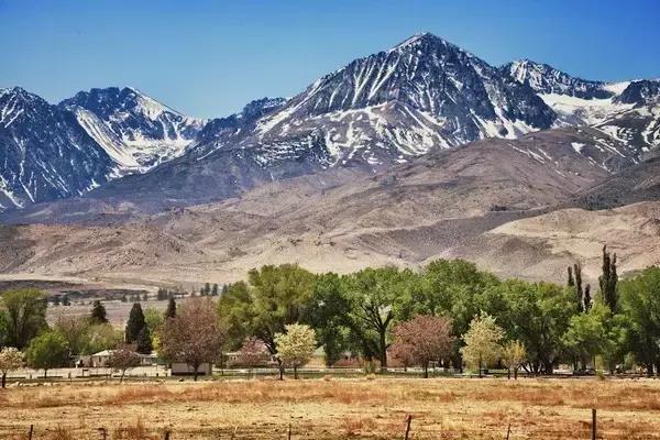 美国深泉学院的真相,深泉学院口碑怎么样