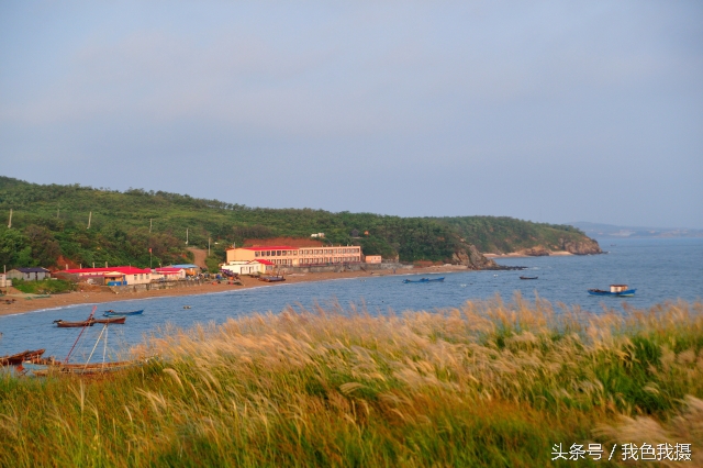 澶ц繛绾㈠矝,澶ц繛甯傞噾宸炲尯绾㈠矝