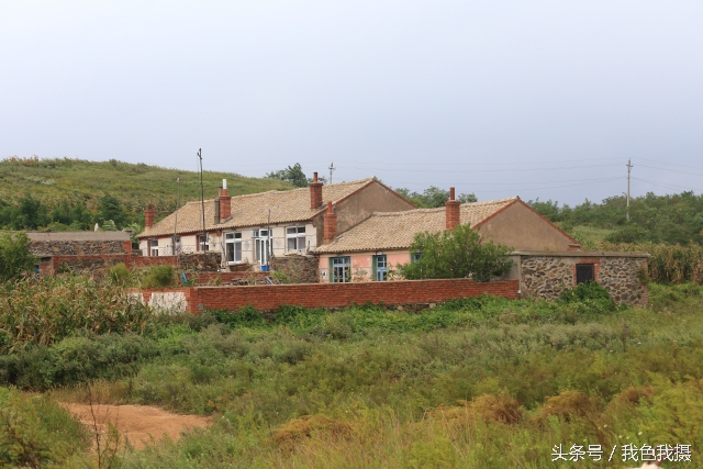 澶ц繛绾㈠矝,澶ц繛甯傞噾宸炲尯绾㈠矝