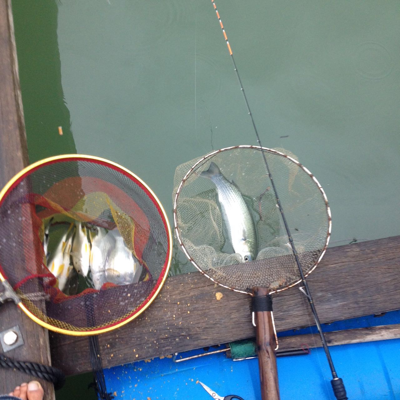 海筏最佳时间表,夏天岸筏技巧