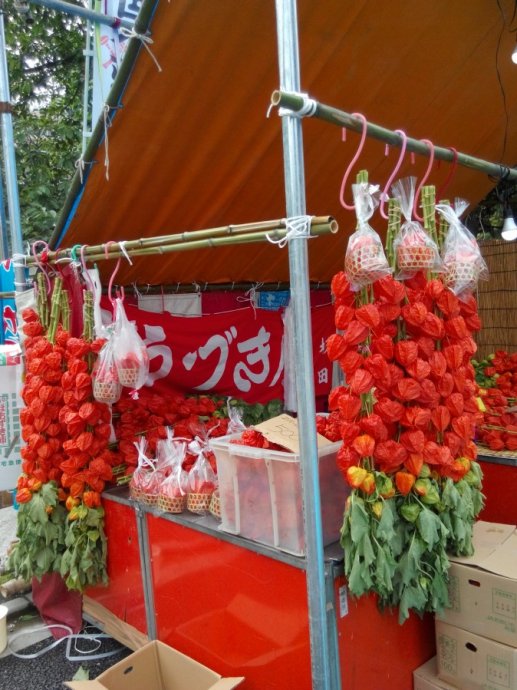 日本东京的城市特点,日本东京被称为什么