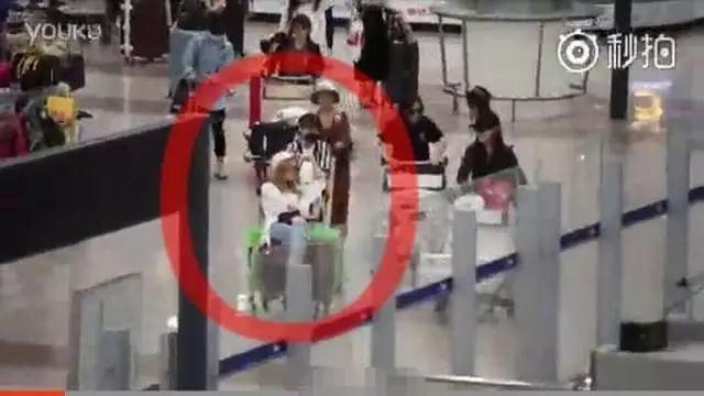 快本鞠婧祎骑马哪个是真的,快本鞠婧祎骑马视频