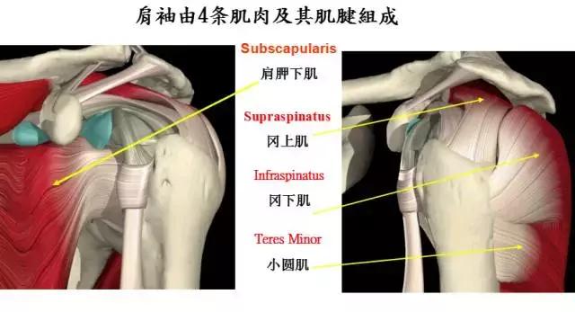 013医院,肩膀病怎么治疗最快最有效
