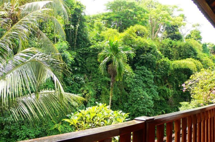 艺术漆巴厘岛,巴厘岛美拉艺术酒店