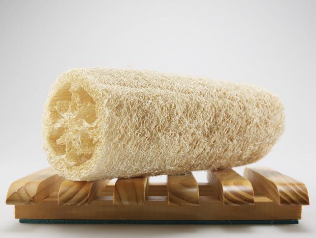 不小心被自家的狗狗咬了一口,不小心被狗狗咬手