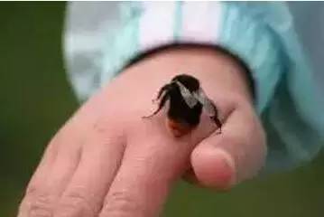 家庭急救常识危险时刻可救命,学会急救的最好方法