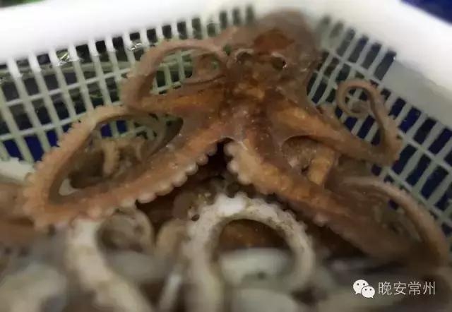 中秋佳节家的味道,中秋家宴视频