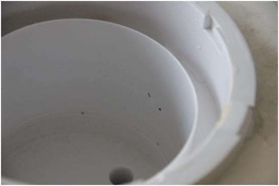 冰箱空调油烟机你能想到的家电清洁方法全在这了