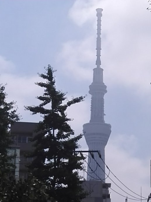 日本东京的城市特点,日本东京被称为什么