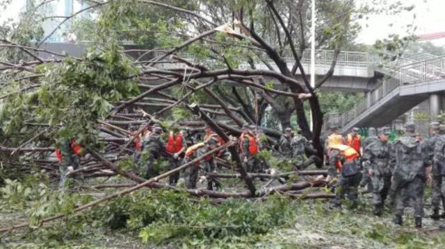 台风马勒卡新消息会登陆福建吗,马勒卡台风什么时候登陆福建