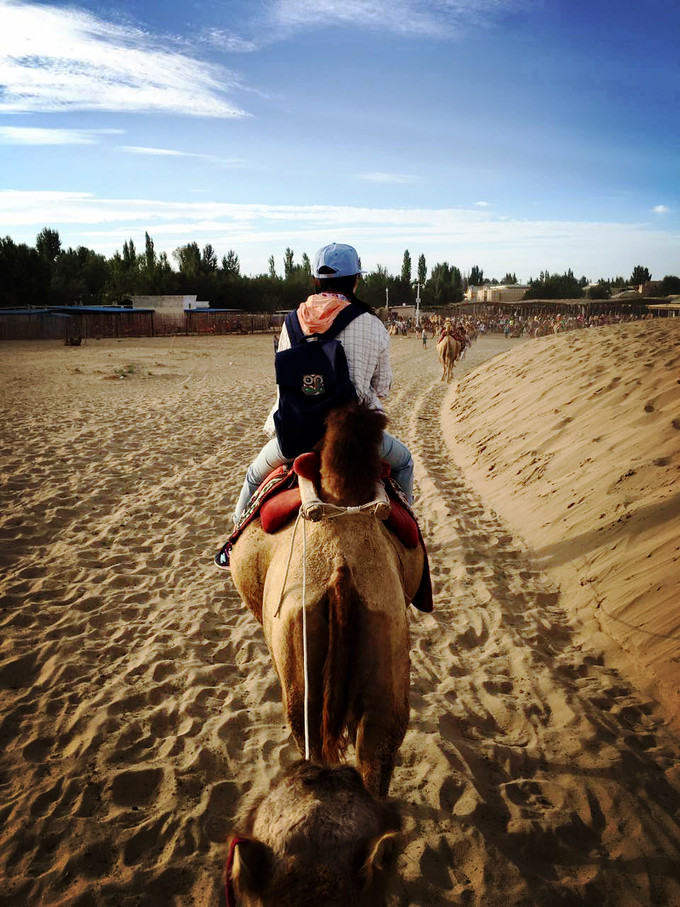 青海大西北之旅 (西宁青海湖张掖敦煌夏季之旅)