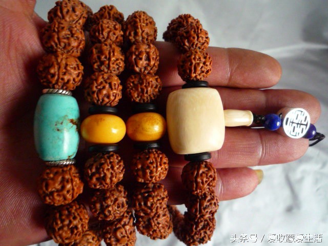 小金刚菩提深度清理方法,小金刚菩提清理不干净