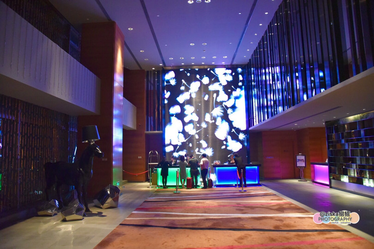 深圳美食广场推荐,深圳美食仙境打卡地