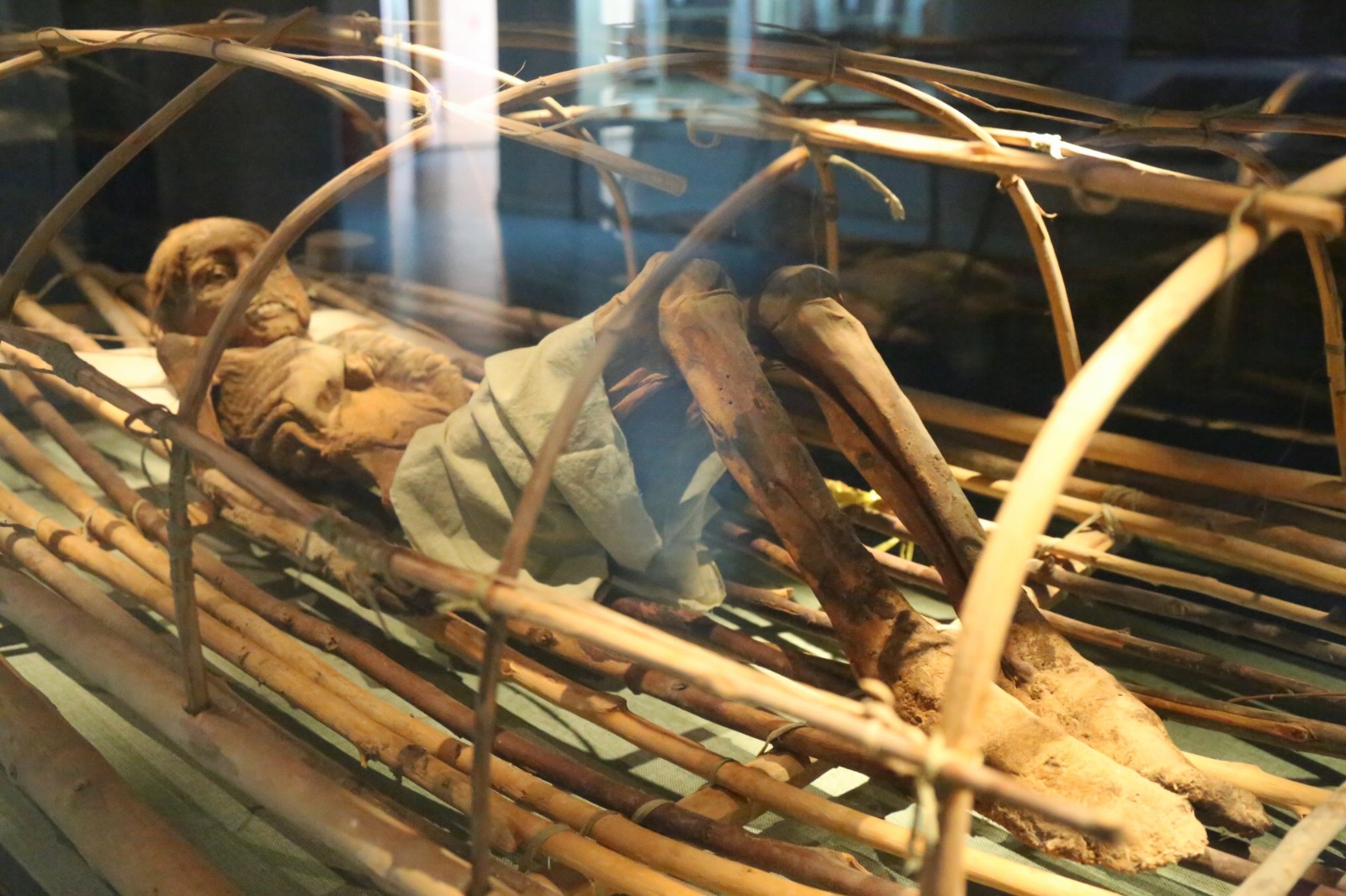 取经之路刚开始,取经之路片段