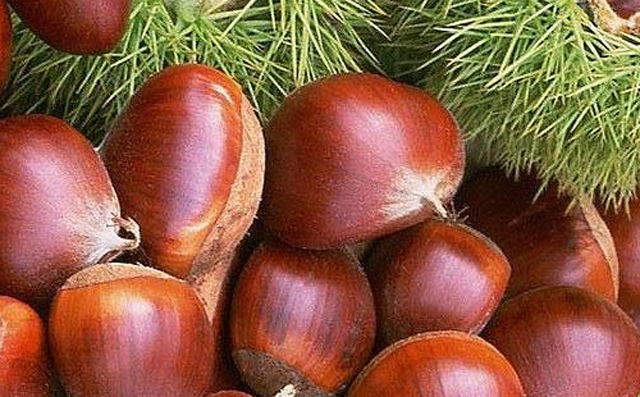 便秘不能吃苹果的原因,得了便秘用什么保健品好