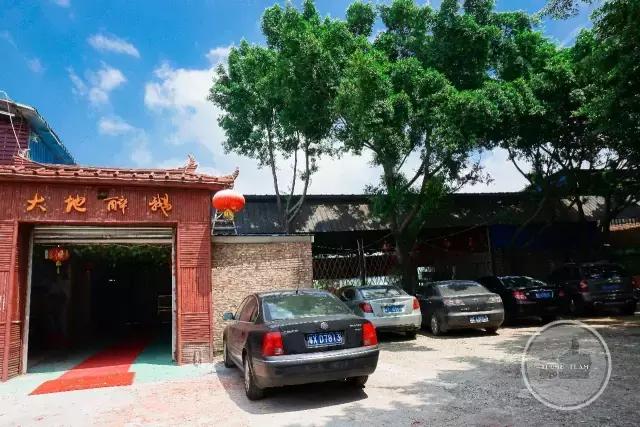 十年一道醉鹅！招央视千里寻访，食神高度赞扬！