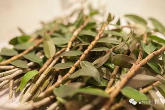 石斛为啥跌下神坛,石斛滞销