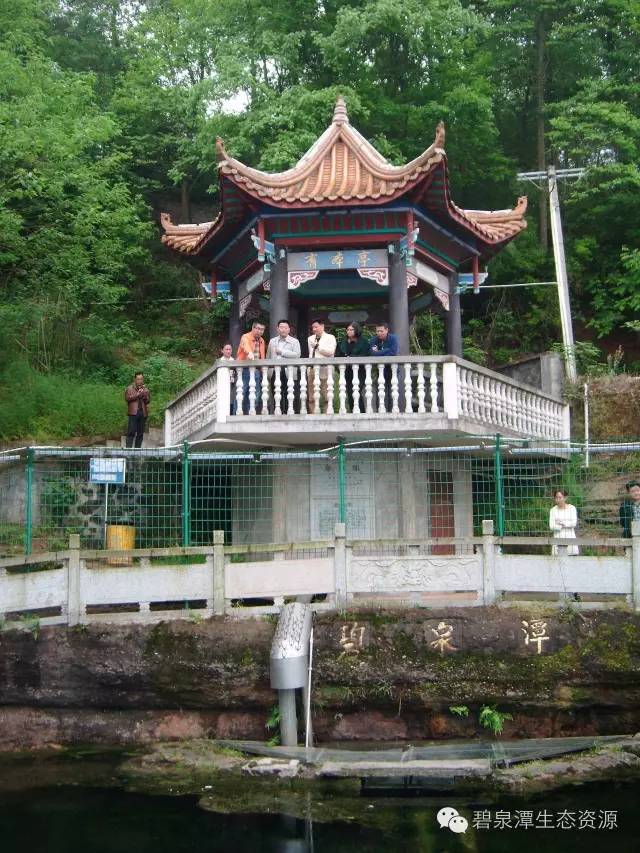 湘潭教师节福利,湘潭岳塘区新入职在编教师的待遇